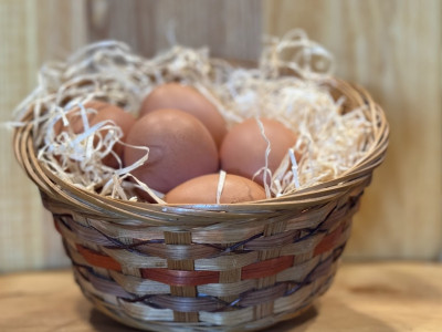 Eier vom Schmiederhof. Frisch und regional.