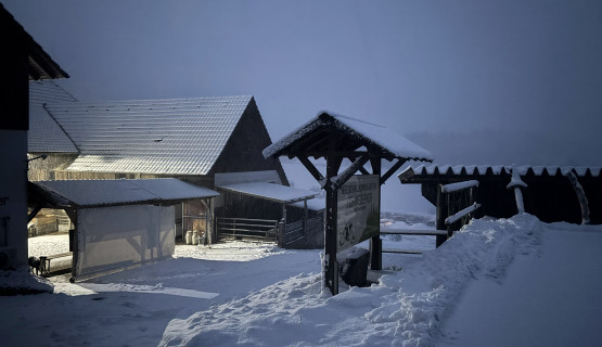 Hof im Schnee