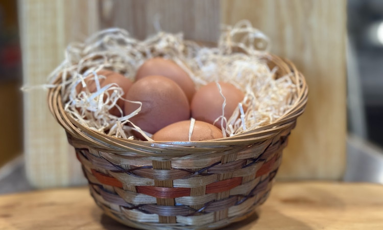 Eier vom Schmiederhof. Frisch und regional.